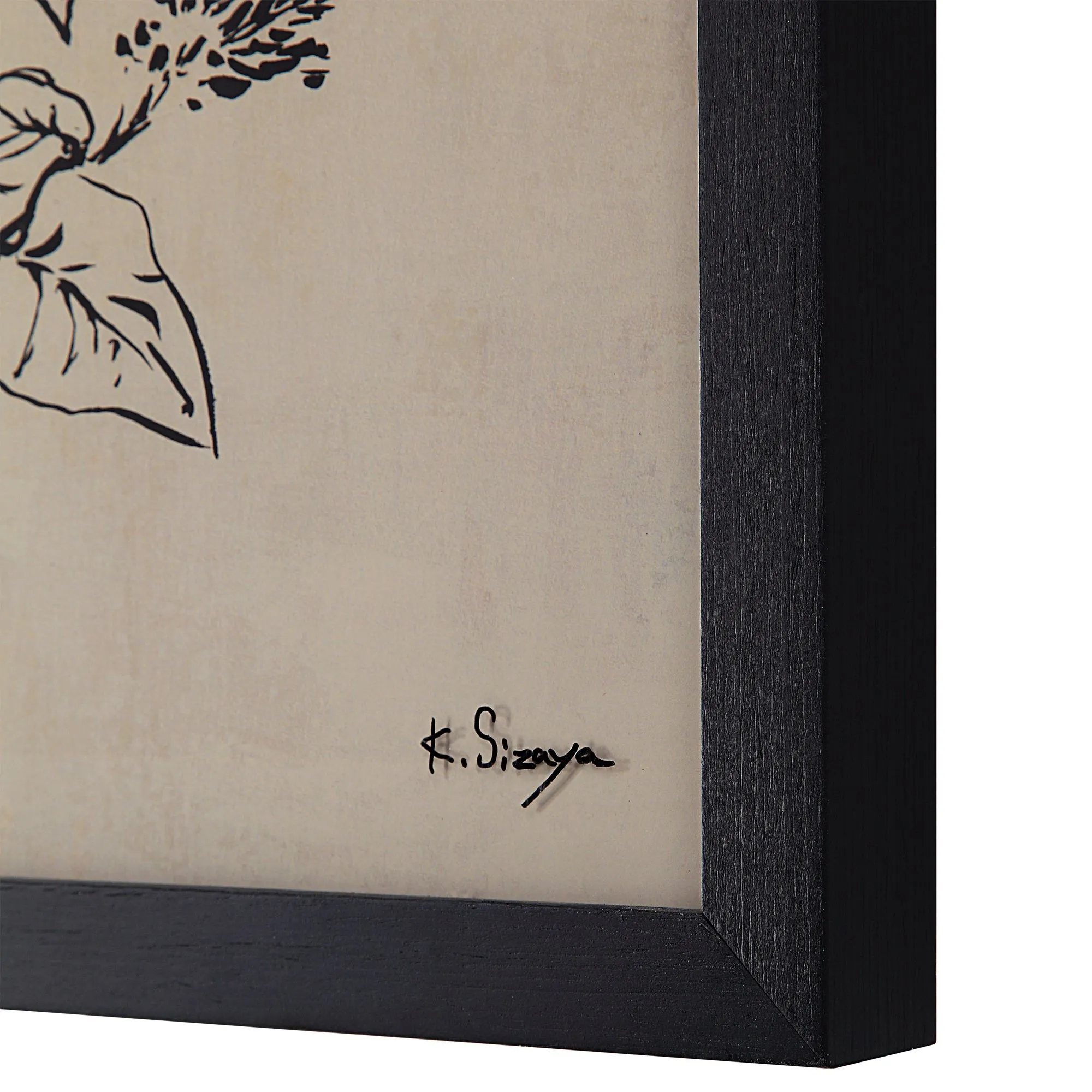 Herbarium Noir Botanical Wall Art Set - Image 4