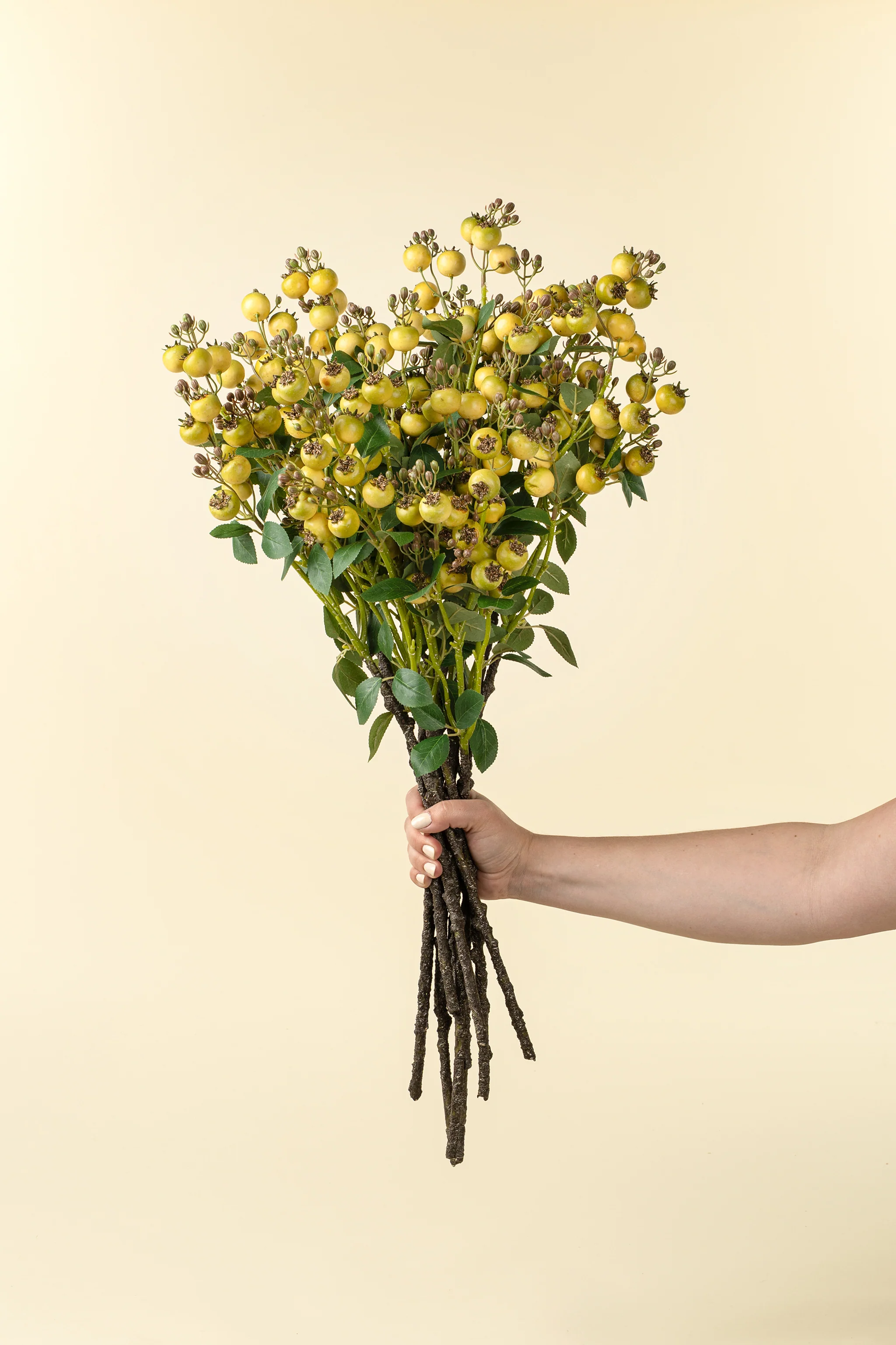 Rosehip Branch Yellow - Image 3